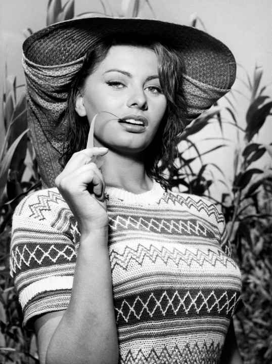 Sophia Loren The River Girl Reproduction Art Print